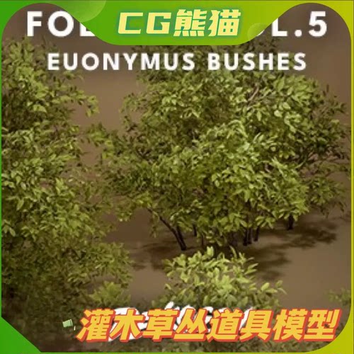 UE5虚幻5 Foliage VOL.5 - Euonymus Bushes 高品质灌木草丛道具