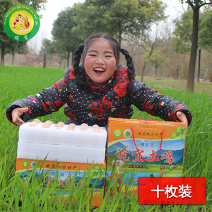 正宗农场散养土鸡蛋  新鲜草鸡蛋笨鸡蛋生鸡蛋 树林放养 10枚包邮