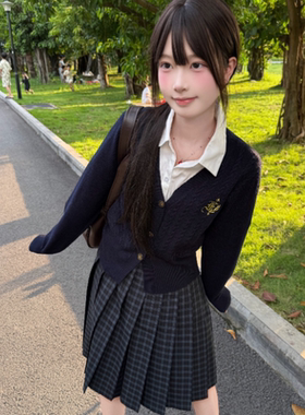 【小辞TR长裙】猫看花原创jk格裙细格55/65cm校供感百褶中长裙