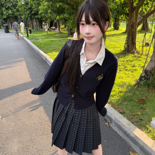 【小辞TR长裙】猫看花原创jk格裙细格55/65cm校供感百褶中长裙