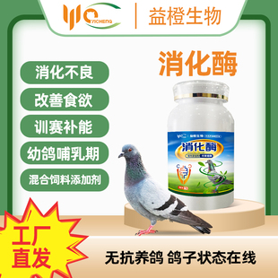 益橙鸽子消化酶鸽用