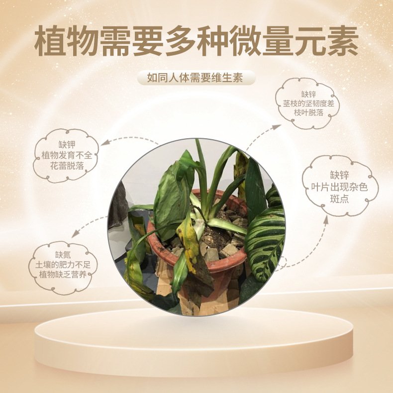 龟背竹专用营养液绿植大盆栽客厅浓缩型花肥料园艺花卉好养活HB49