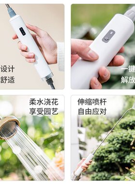 电动喷雾器农药喷壶浇花洒水打药园艺专用喷洒消毒小型雾化喷DD75