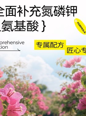 三角梅营养液开花神器催花肥盆栽花肥专用复合肥花草专用肥HB74