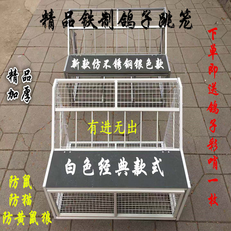 鸽子跳笼信鸽赛鸽用品用具鸽棚鸽舍进口只进不出进笼门放飞笼鸽具