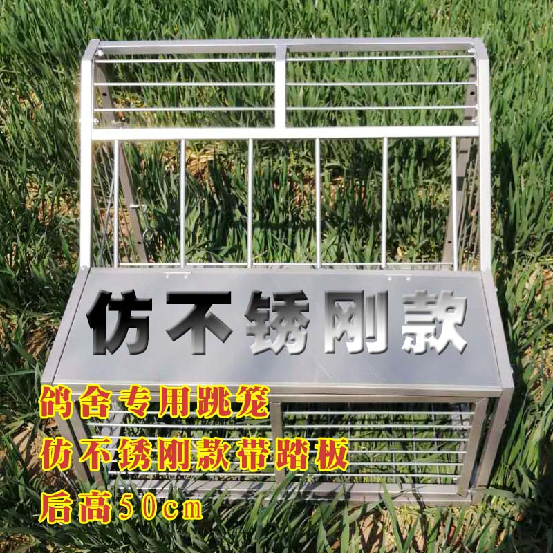 跳笼进口只进不出进笼门放飞笼