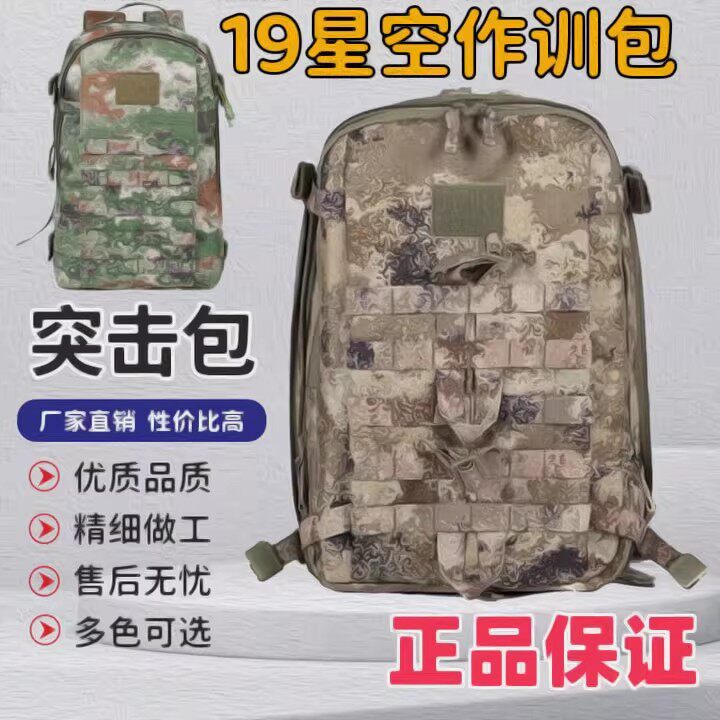 P19N迷彩单人训作包背囊EX21PZ新式战术突击包多功能大容量背包