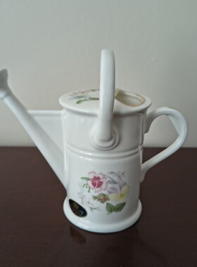 AYNSLEY 安兹丽 英国骨瓷中古浇水壶造型小摆件 橱窗创意装饰瓷器