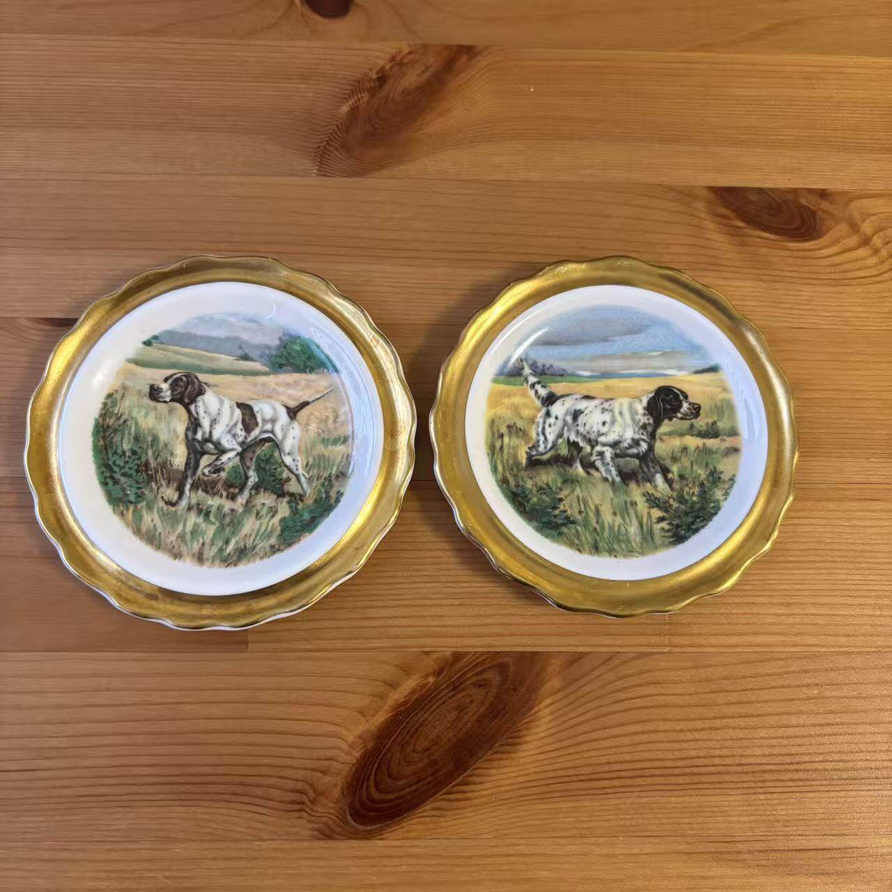 Royal Grafton 皇家格拉夫顿 英国中古收藏 猎犬鎏金花边装饰小碟