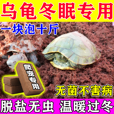 乌龟冬眠椰土砖爬虫椰土苔藓过冬