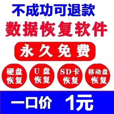 电脑数据恢复U盘文件大师SD硬盘文档格式内存卡软件卡视频恢复