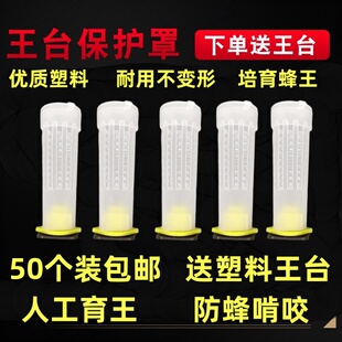 蜂具育王台基王台防护罩塑料王台保护罩蜂王保护笼育王工具王台包