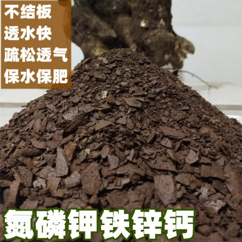老桩盆景用土天然风化石金弹子兰花生根营养土疏松透气弱酸性土壤