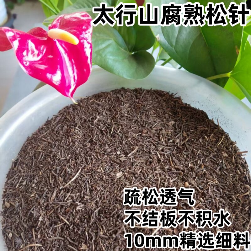 直播间福利蓝莓腐熟纯松针土壤