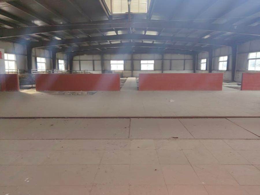 2月6日亳州土地使用权及地上附属物网络拍卖公告