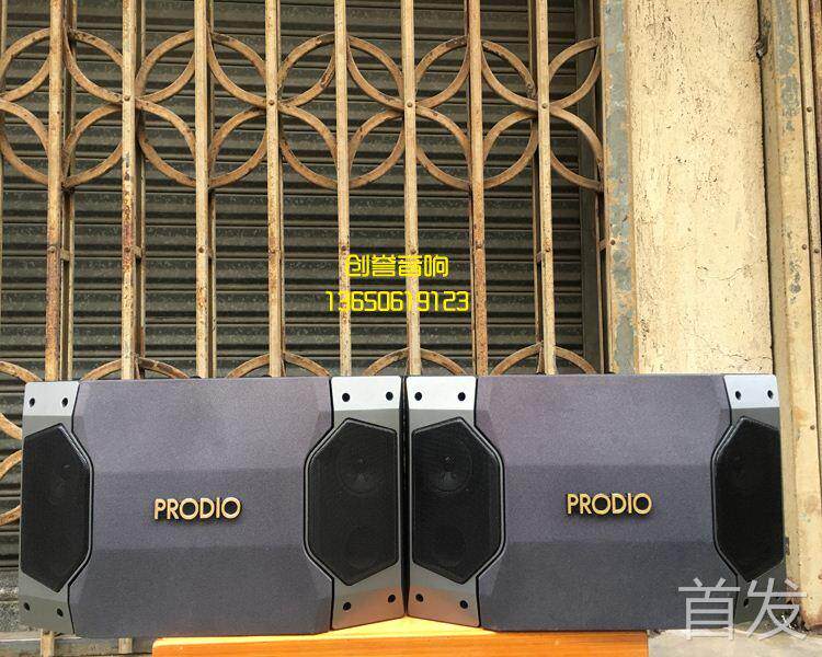 二手进口音响 PRODIO宝迪奥 KSP-480MKII 10寸专用卡拉ok音箱..