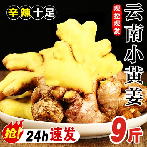 云南新小黄姜新鲜生姜现挖高山沙姜老姜土姜月子姜蔬菜9斤