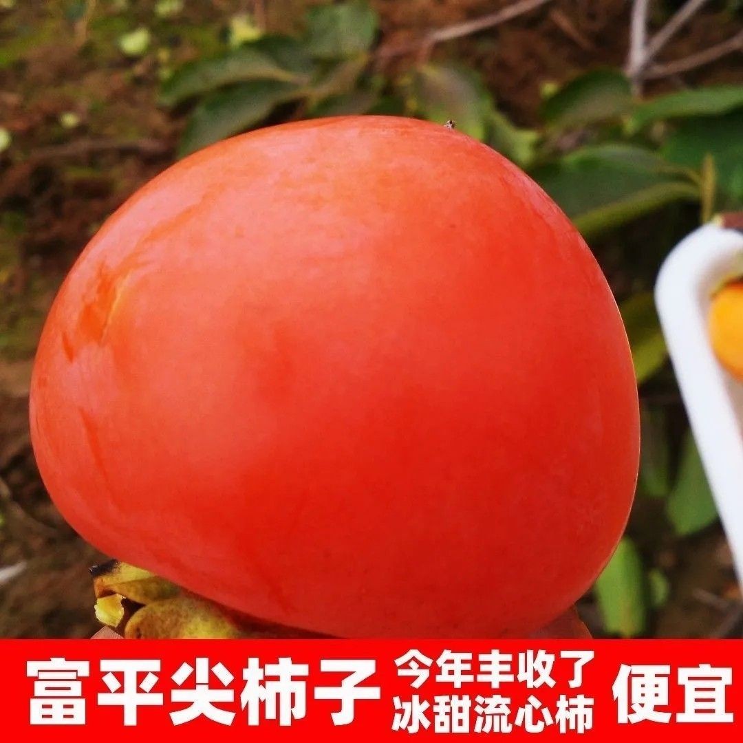 富平大尖柿子流心爆汁