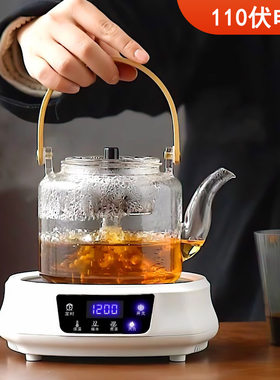 出口110v伏电陶炉迷你煮茶器电热茶炉烧水壶小家电器跨境