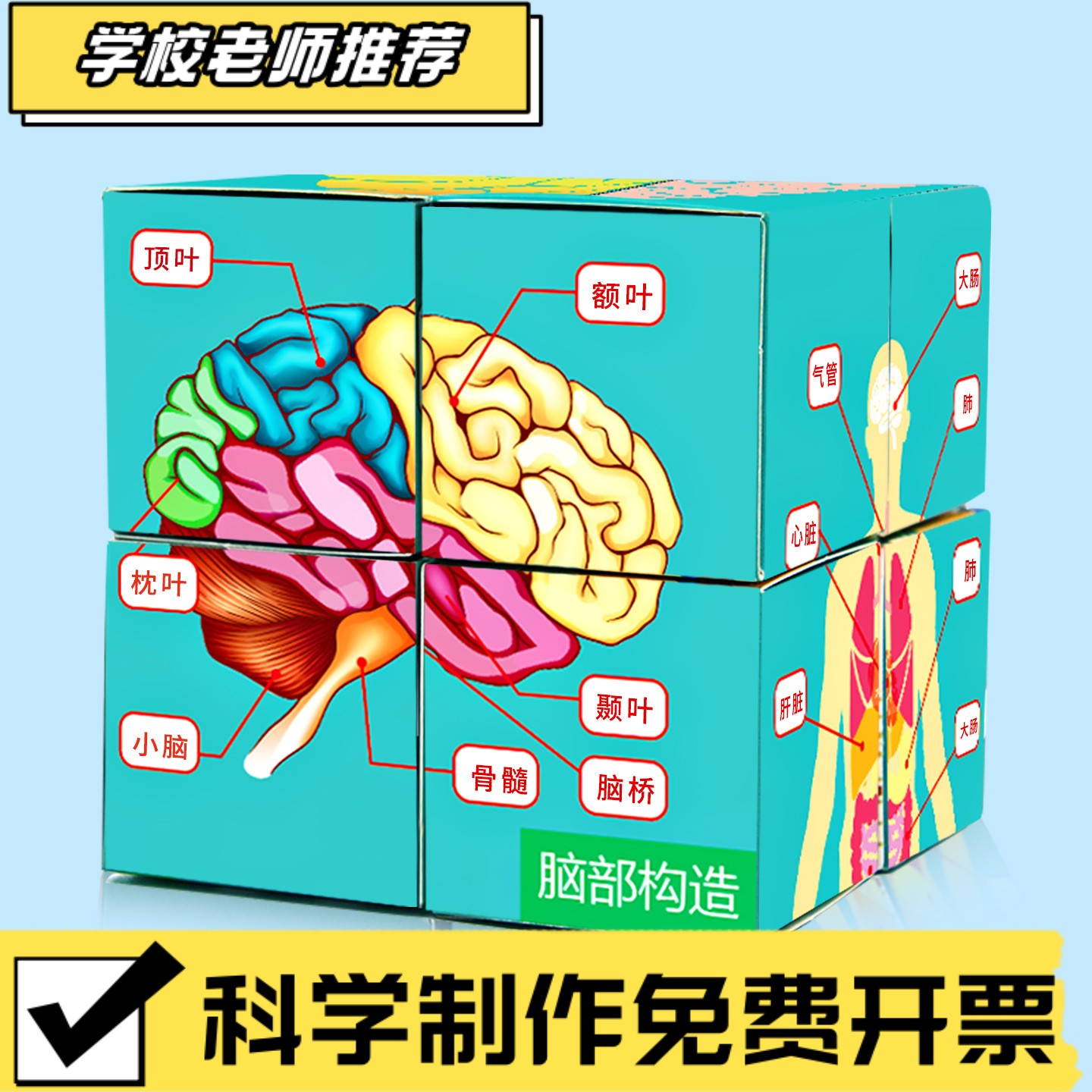 科学实验认识人体器官魔方学生科技小制作儿童手工diy材料包 CX84