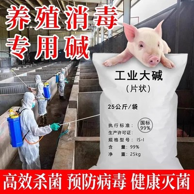 50斤油烟机清洗剂厨房强力去重油污碱片下水道疏通纯碱去油工业