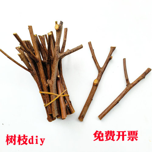 Y形小树杈木叉树枝幼儿园手工DIY天然实木低结构材料环创原木装饰