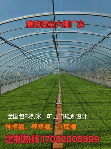 水产大棚种植棚养鹅棚养鸭棚