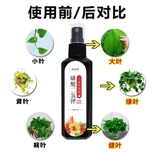 【喷啥啥壮】磷酸氢钾专用花肥开