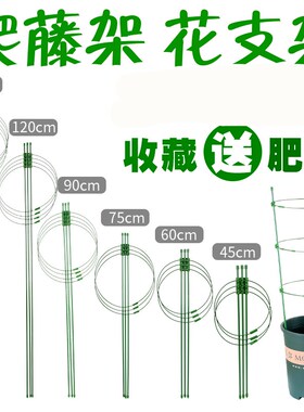 园艺花支架藤本植物爬藤攀爬花架子月季 Uao1hu8Hu3Rqavb