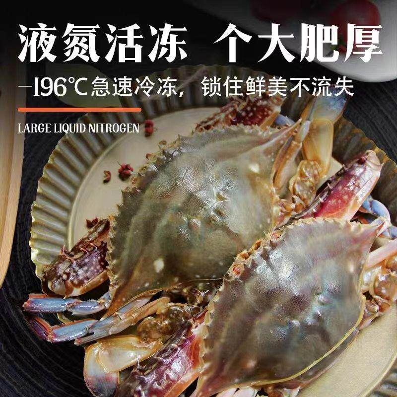 【顺丰发货】舟山梭子蟹鲜冻大螃蟹冷冻大公蟹野生海鲜白蟹水产