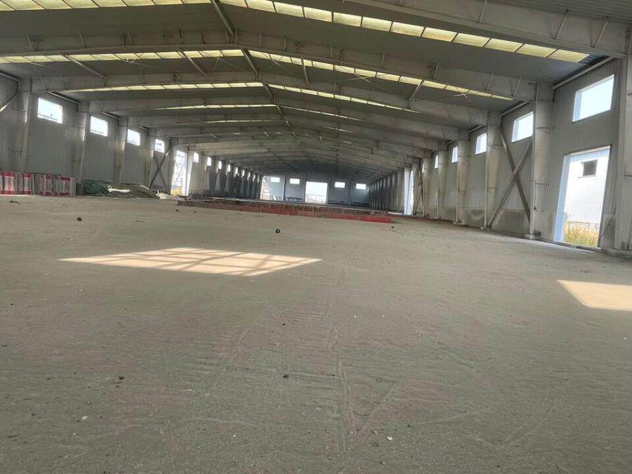 4月6日昌吉菌业公司工业用地及地上附属物网络拍卖公告