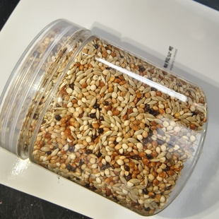 收获蚁种子食物原生野蛮红胸大头角肯尼亚工匠宠物蚂蚁谷物食物货