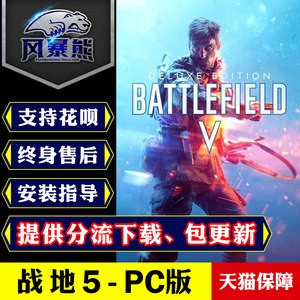 战地bfvbf5origin标准皮肤origin