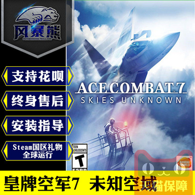 steam皇牌空战激活码