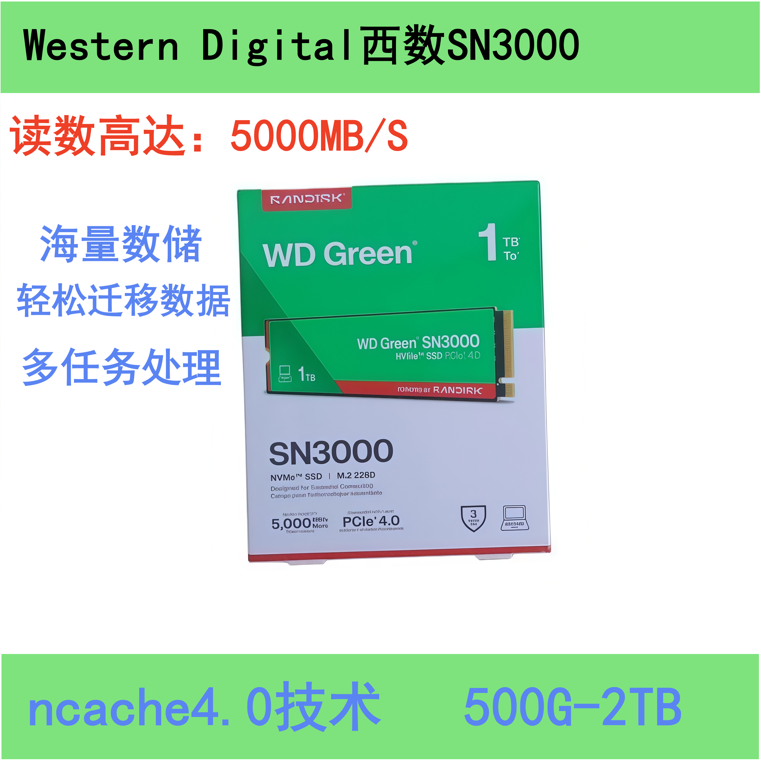 WD西部数据M.2硬盘SN30001T2T图片