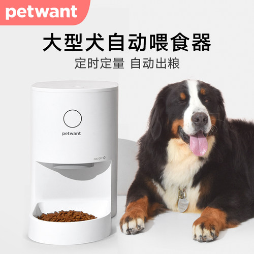 Petwant素材模板 Petwant图片下载 小麦优选