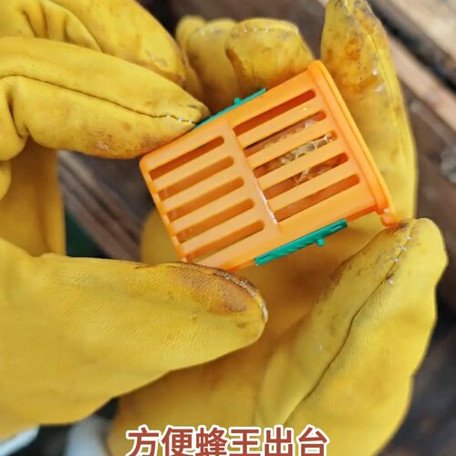 收蜂笼中蜂囚王笼2026新款中意笼多功能塑料蜂养蜂介邮寄2026爆款