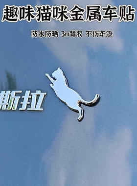 特斯拉model3/Y金属车贴创意车标猫咪尾标装饰贴个性黑色3D车贴纸