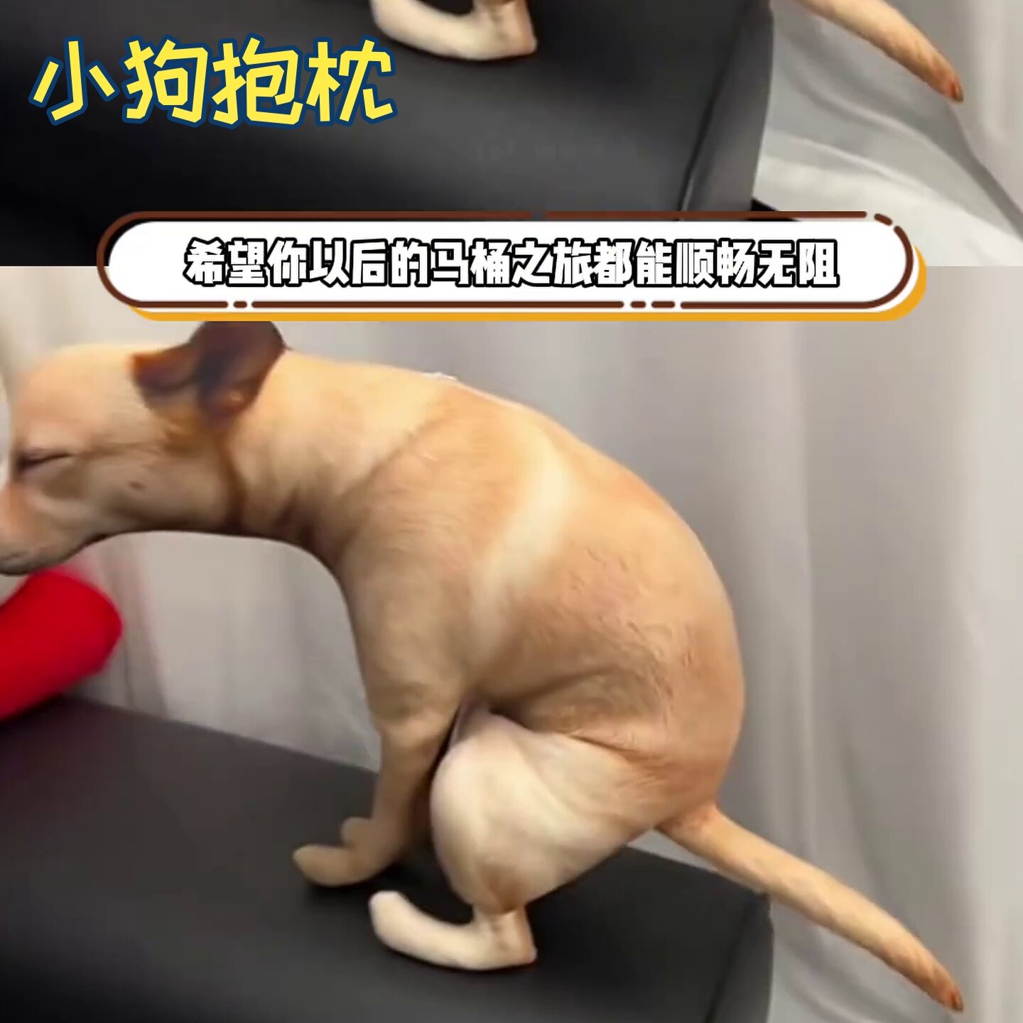 小狗抱枕抽象跨境爆款3D仿真狗玩偶公仔毛绒玩具狗猎狗单身狗厂家