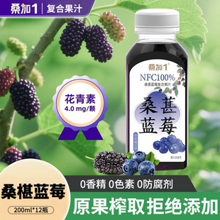 桑加1 NFC100%蓝莓复合桑葚汁200ml*12瓶原浆花青素桑果蔬汁饮料