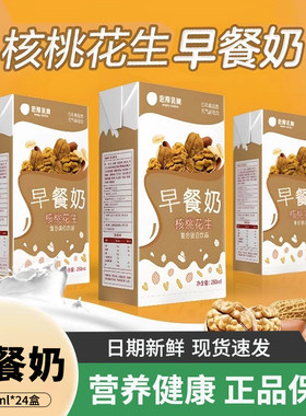 营养早餐奶忠厚整箱250ml牛奶