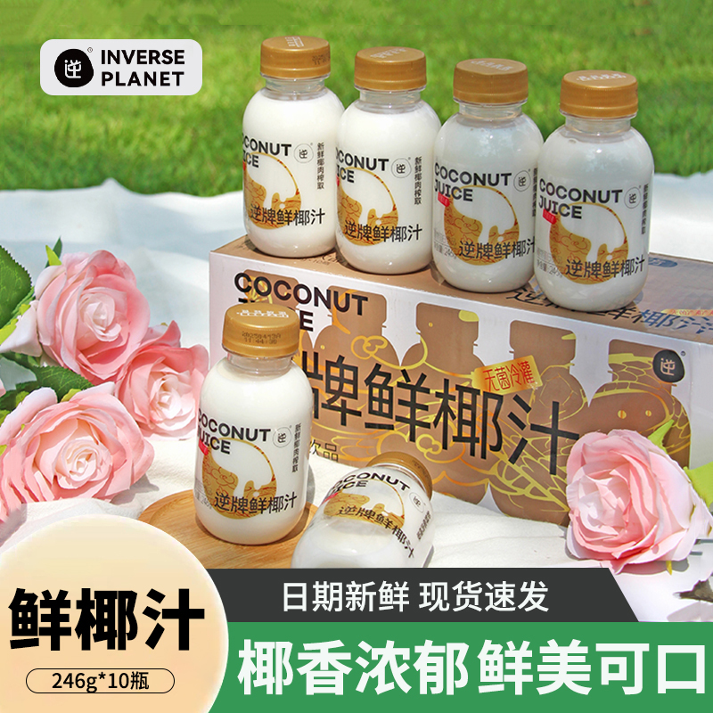逆牌鲜椰汁246g*10瓶整箱网红鲜榨椰子汁水椰奶乳植物蛋白饮料