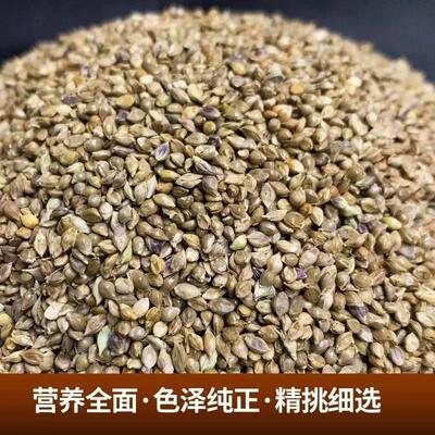 10/6斤稗子水稗子草籽鸟食鸟粮鹦鹉玄凤虎皮牡丹玉鸟文鸟鸟粮包邮
