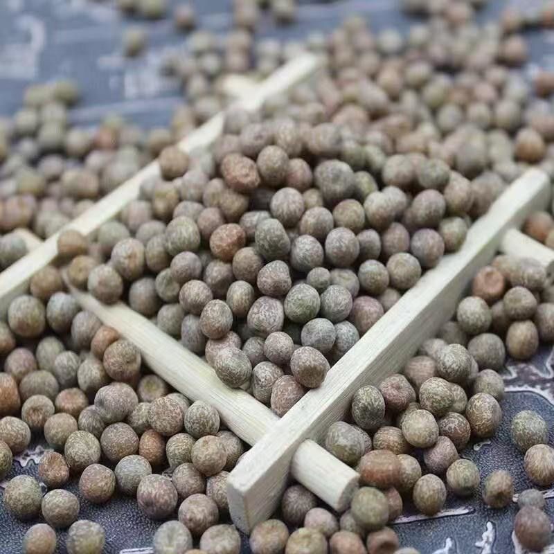 10/5斤 麻豌豆 发豌豆芽 水培生豌豆苗 生豌豆 枫豆 鸽粮豌豆包邮