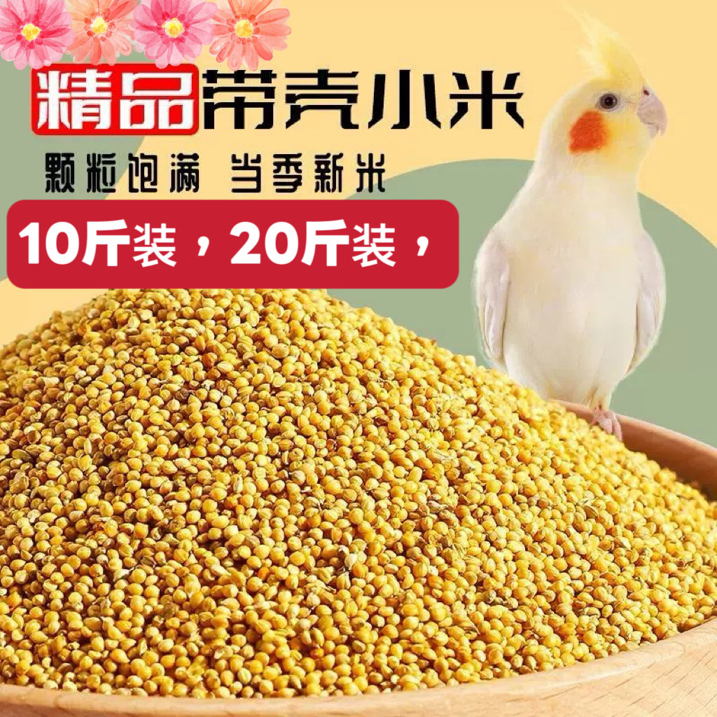 鹦鹉吃带壳小米黄鸟粮