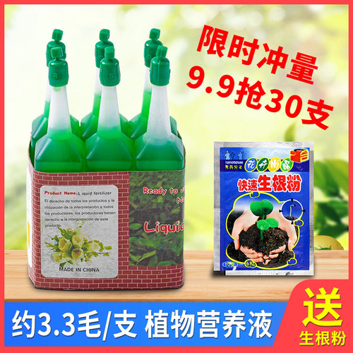 植物营养液通用型家用水培花卉