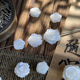 天然贝珠马蹄螺玫瑰花8 15mm散珠手工diy串珠饰品配件S18