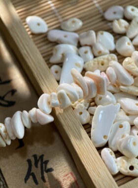 天然女王贝5*8mm有孔碎片手工diy串珠手链项链饰品配件材料S72