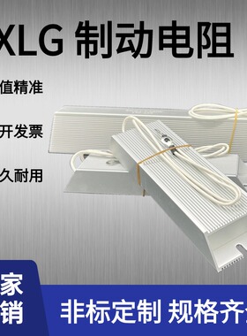 制动刹车电阻变频器RXLG-300W100R40R70R75R250R400R伺服电机配套