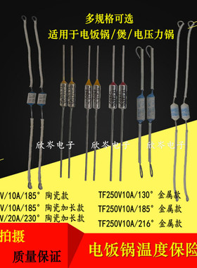 电饭锅温度保险丝250V10A/20A陶瓷金属温度保险管TF/FR系列热保护
